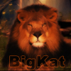 BigKat